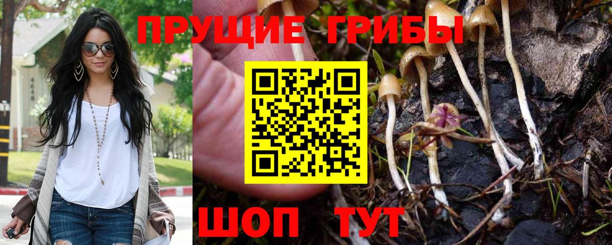 Галлюциногенные грибы Psilocybe Кимры